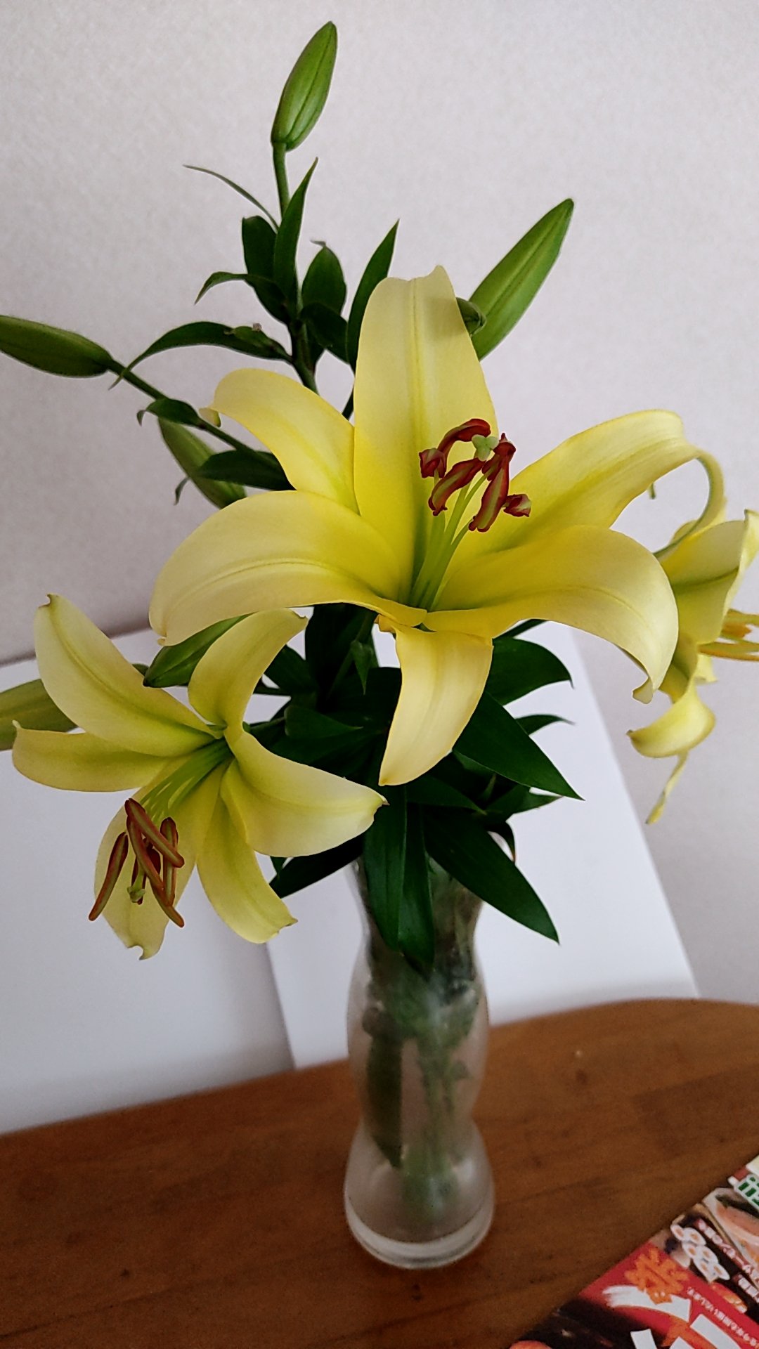 イエローウィンゆりyelloween Lelie Gallery ユリの花