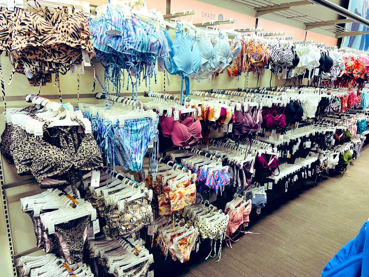 Alexandria tweet media