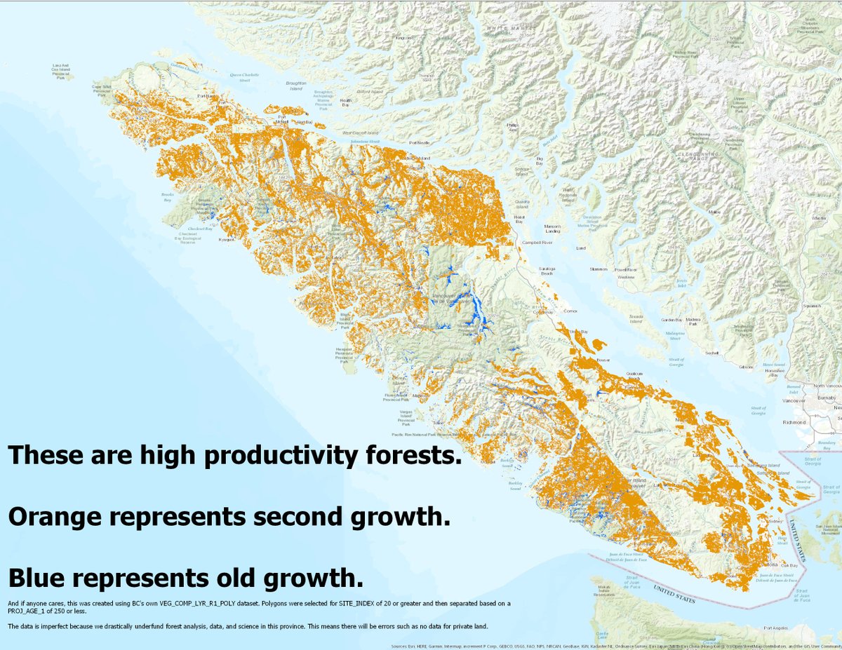 This is one way to look at the high productivity old growth on Vancouver Island.