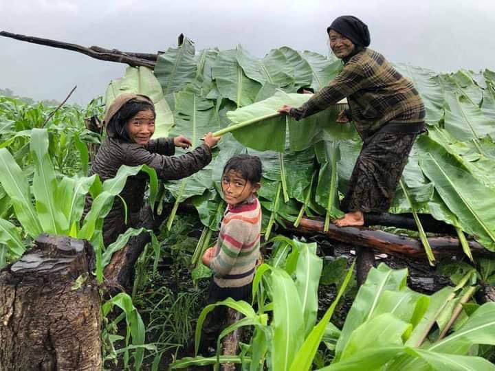 ShweSss's tweet photo. Many locals from Kanpetlet Tsp are still in the jungle though the clashes in the area are not as serious as Mindat. Some have already returned to town as there is no clashes currently. #TogetherWithPDF #June23Coup  #WhatsHappeningInMyanmar https://t.co/ep83QQgV7e