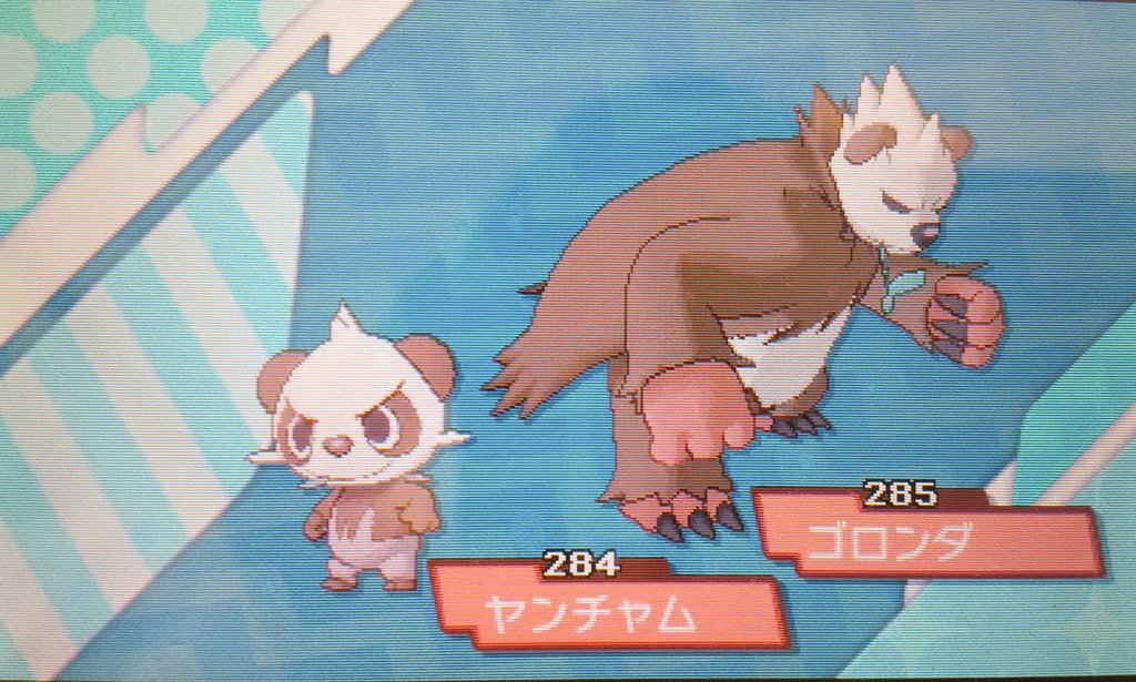 かずポケ 色違いヤンチャム ゴロンダ 可愛いしかっこいい 好きな動物がパンダやクマなので 嬉しいです パンダのアルビノも茶色なので 可愛いからすごい好きです 色違いポケモン T Co 3xot3cdwf2 Twitter