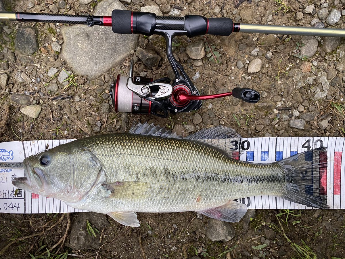 ポイズンアドレナ