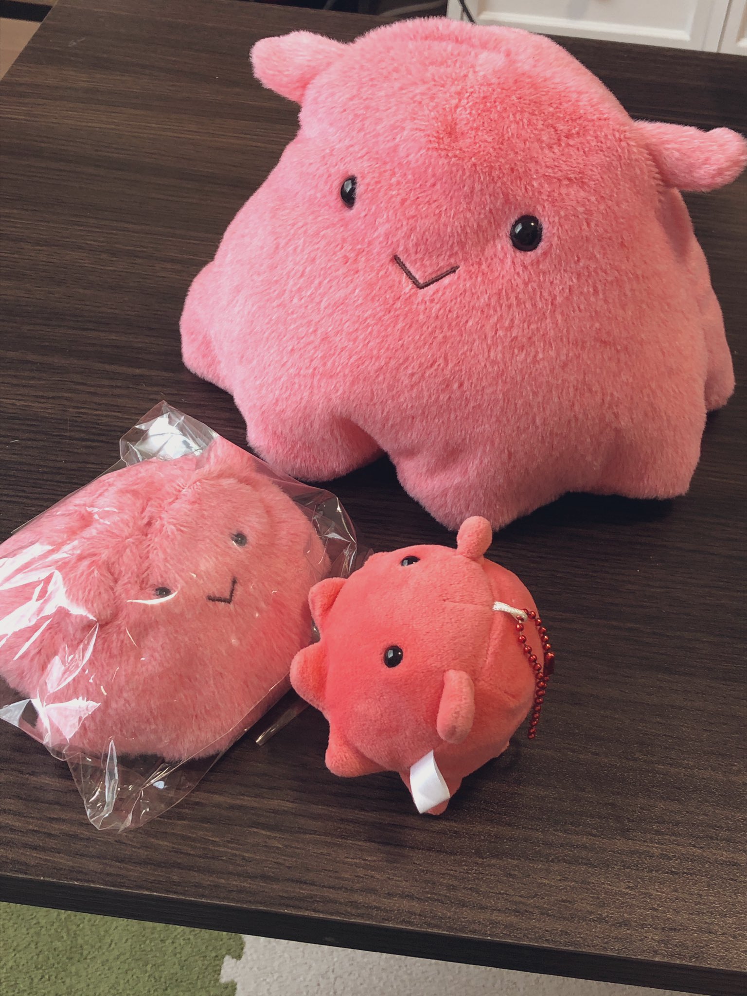 旅するめんだこ on X: 