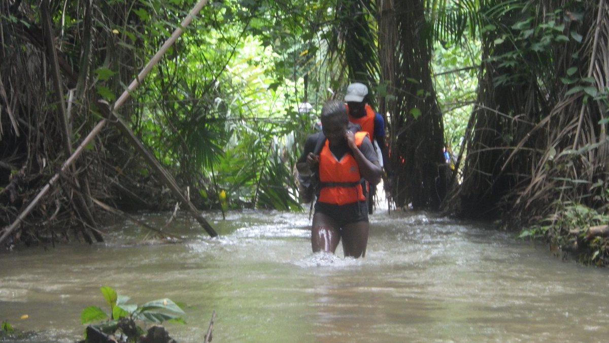 GH_Mountaineers's tweet photo. Beauty of river hiking

#hiking #junglehiking #riverhiking #exploring #adventure #outdoors #bushcooking #bushwacking #ghanamountaineers https://t.co/Eje5YT06Mp