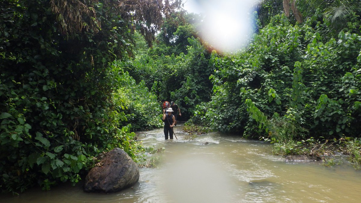 GH_Mountaineers's tweet photo. Beauty of river hiking

#hiking #junglehiking #riverhiking #exploring #adventure #outdoors #bushcooking #bushwacking #ghanamountaineers https://t.co/Eje5YT06Mp