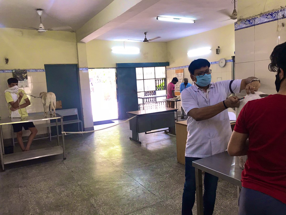 vetshakul111's tweet photo. As a matter of fact it takes a much cleverer man to be a really good animal-doctor than it does to be a good people's doctor.#BoycottManekaGandhi #RespectVeterinarians @presidentVCI @PMOIndia @narendramodi https://t.co/k4aSiTHS83
