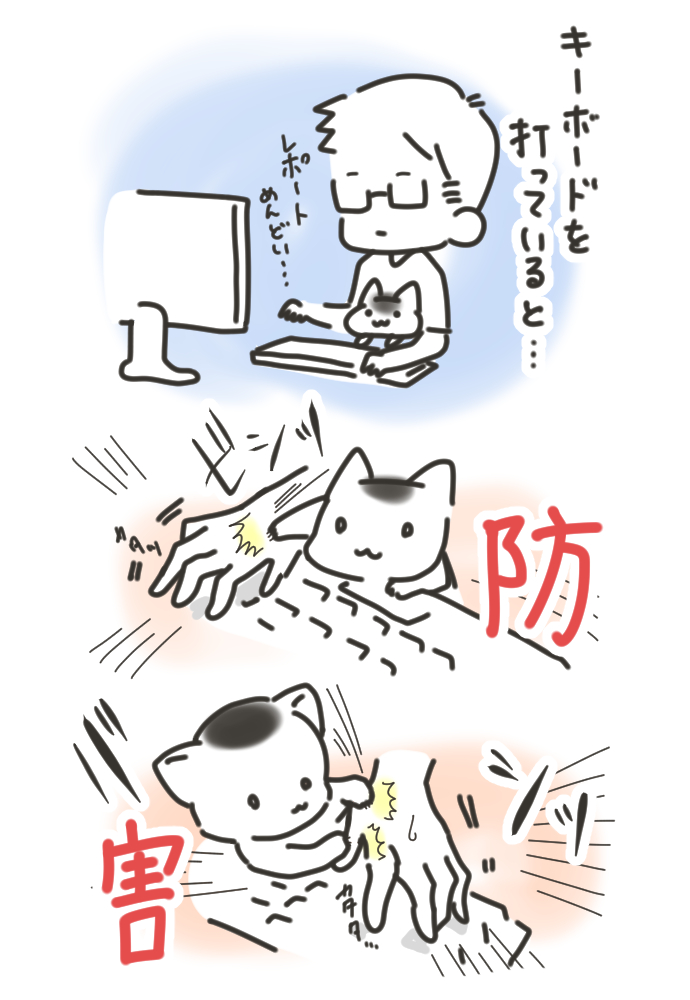 #挨拶365
#6月ねこねこマンガ 23/30

猫のまめもち
きっと猫的には手伝ってるつもりなんだ

今日もおつカレー🍛です。
#まいどな漫画大賞2021 