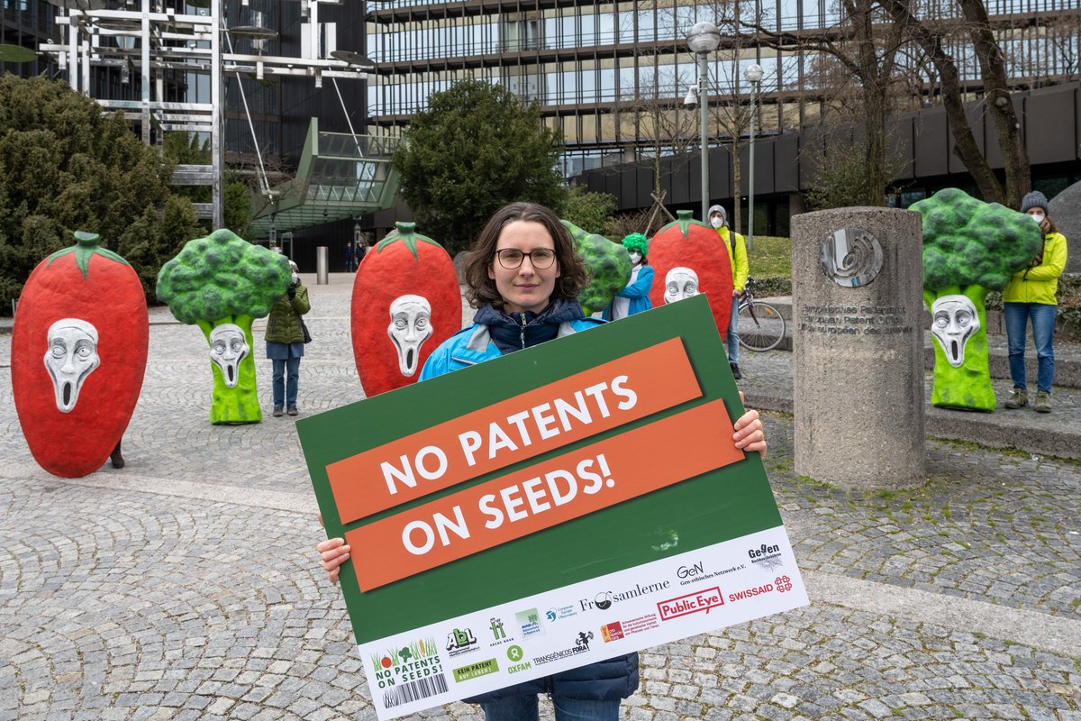NoPatentsOnSeed's tweet photo. Last chance to sign petition against patents on plants &amp; animals before @EPOorg Administrative Council meets next week! For clear regulations to prevent further controversial patents - such as on melons, salmon, soybeans or salad! Sign here: https://t.co/yQ5HSEPeyv https://t.co/OdSzIhtiq6