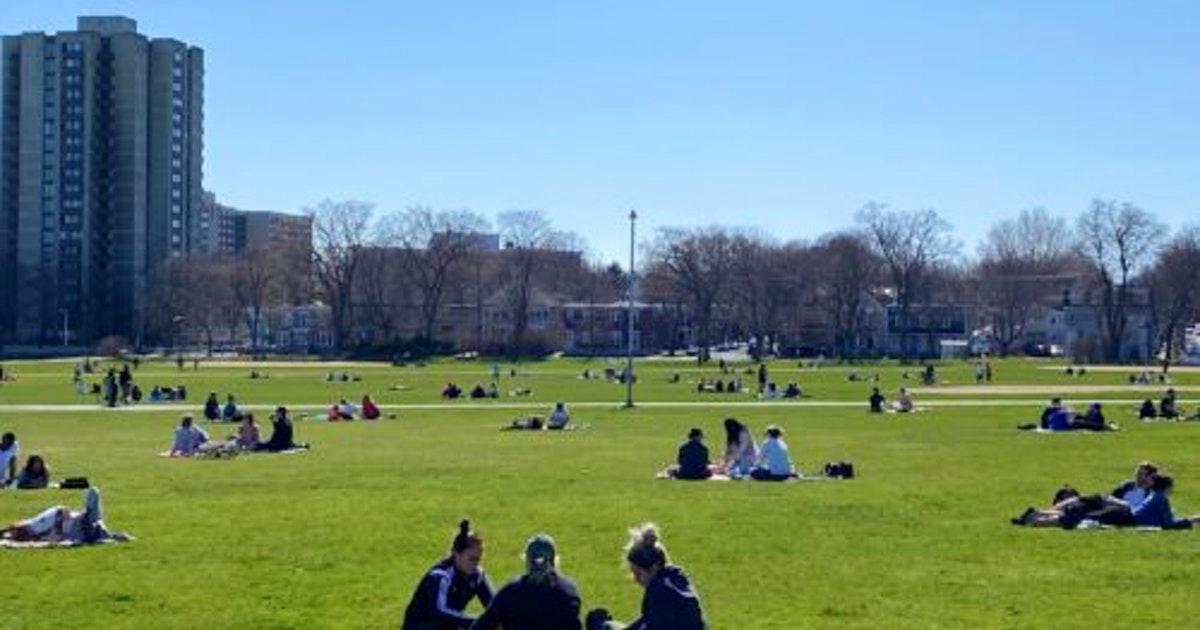DAVID GARRETT Whither the withering Halifax Common? Saltwire
