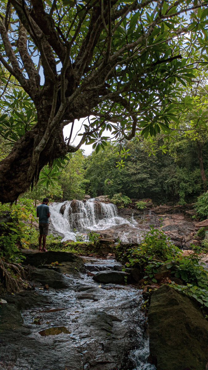 manncyclopedia's tweet image. #WATERFALL