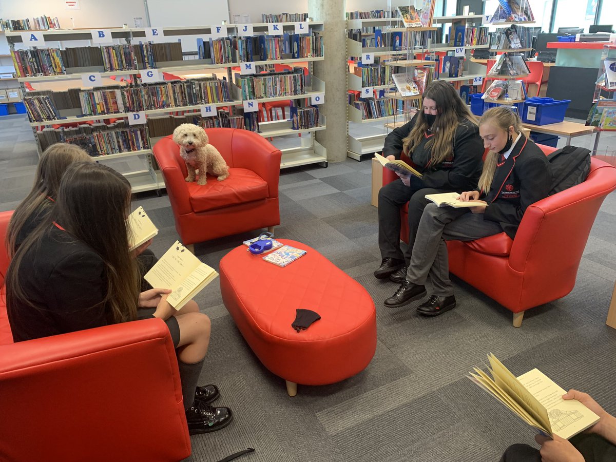 TheChalkHills's tweet photo. Billy returned to us today to do more reading groups. He is very invested in the plot of ‘Fame Thing’ by @JonathanMeres ….and we suppose the kids are too. Cant wait to see what happens with George and Denis next week. #AtChalkWeRead #DogsWhoRead #TSLT https://t.co/zWReEa3R2n