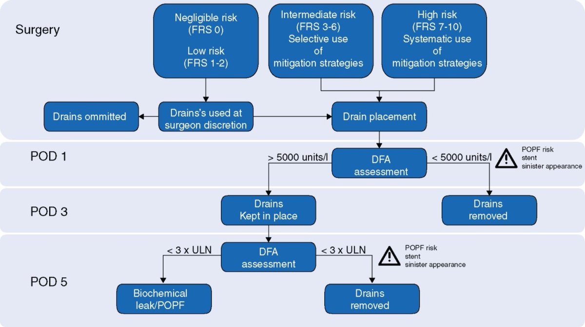 BJS (@bjsurgery) on Twitter photo In the June issue of BJS: Prevention, prediction, and mitigation of postoperative pancreatic fistula academic.oup.com/bjs/article/10… <a href="/AmyLightnerMD/">Amy Lee Lightner, MD</a> <a href="/bplwijn/">Bas Wijnhoven</a> <a href="/des_winter/">Des Winter</a> <a href="/ksoreide/">Kjetil Søreide</a> <a href="/MalinASund/">Malin Sund</a> <a href="/evanscolorectal/">Martyn Evans</a> <a href="/nfmkok/">Niels Kok</a> <a href="/robhinchliffe1/">Robert Hinchliffe</a> <a href="/young_bjs/">Young BJS</a> In the June issue of BJS: Prevention, prediction, and mitigation of postoperative pancreatic fistula academic.oup.com/bjs/article/10… <a href="/AmyLightnerMD/">Amy Lee Lightner, MD</a> <a href="/bplwijn/">Bas Wijnhoven</a> <a href="/des_winter/">Des Winter</a> <a href="/ksoreide/">Kjetil Søreide</a> <a href="/MalinASund/">Malin Sund</a> <a href="/evanscolorectal/">Martyn Evans</a> <a href="/nfmkok/">Niels Kok</a> <a href="/robhinchliffe1/">Robert Hinchliffe</a> <a href="/young_bjs/">Young BJS</a>