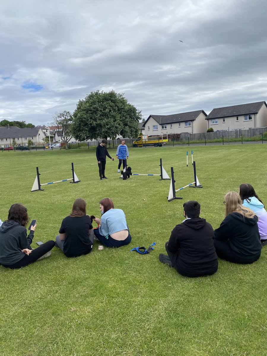 CrieffHigh's tweet image. #TeamCHS #Wellbeingday