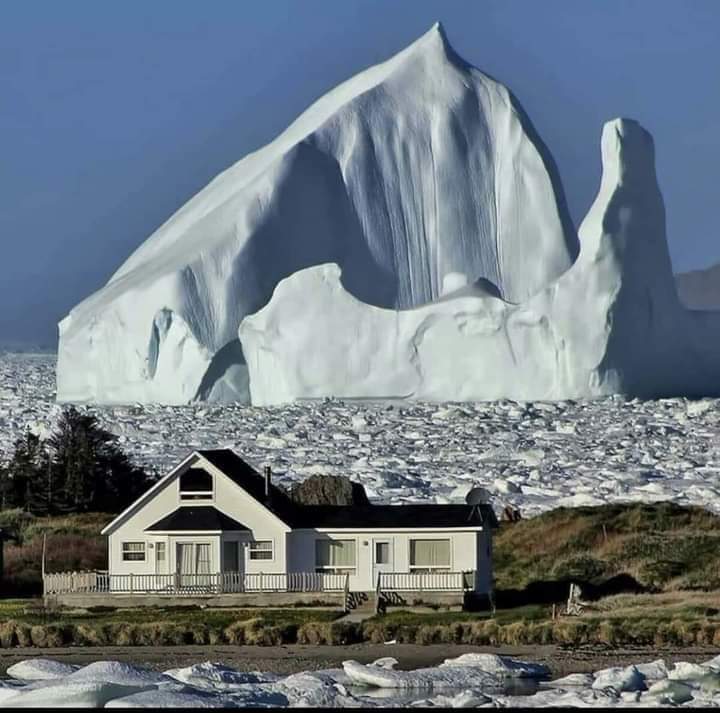 Sis what makes canada magical 150 ft. Iceberg passing through Iceberg Alley near Ferryland, Newfoundland, Canada Photo Credit: amateur photographer Doreen Dalley, who has been snapping photos of the scenery in iceberg alley for the past 30 years.
