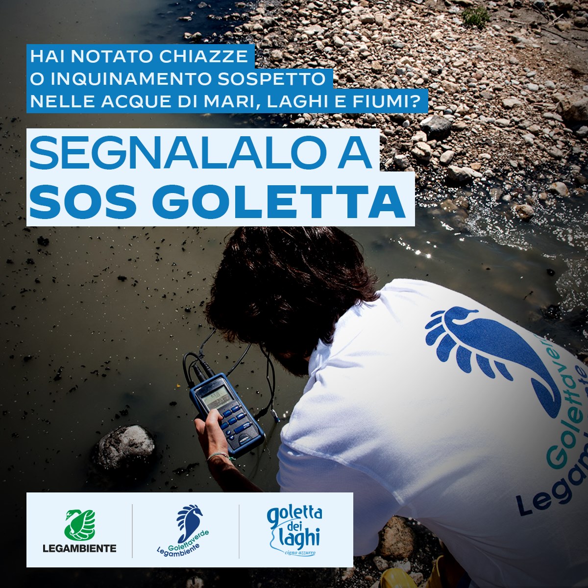 ⛵️ Siamo pronti a salpare!
Aiutaci a difendere il #mare e i #laghi da #inquinamento, #illegalità e #rifiuti.
Se hai notato chiazze o inquinamento sospetto nelle acque di mari, laghi e fiumi segnalacelo!
Invia il tuo #SOSGoletta su 👉 golettaverde.legambiente.it/sos-goletta/