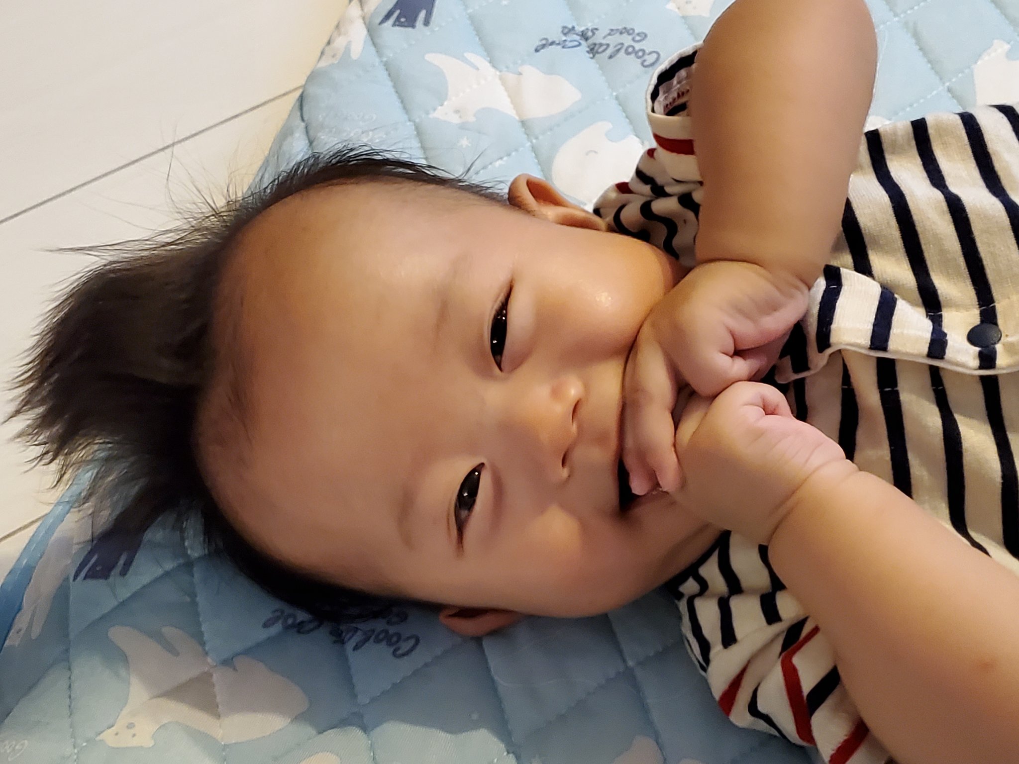 Namnam 今日１日もご機嫌だった 髪の毛は今日も逆立ってる 最近は指を口にいっぱいにいれるようになった 成長してるなぁ 今日のそら君 生後4ヶ月 かわいいモヒカン モヒカン赤ちゃん 逆立つ髪の毛 かわいいそら君 どこまで伸びるか逆立つ髪の毛