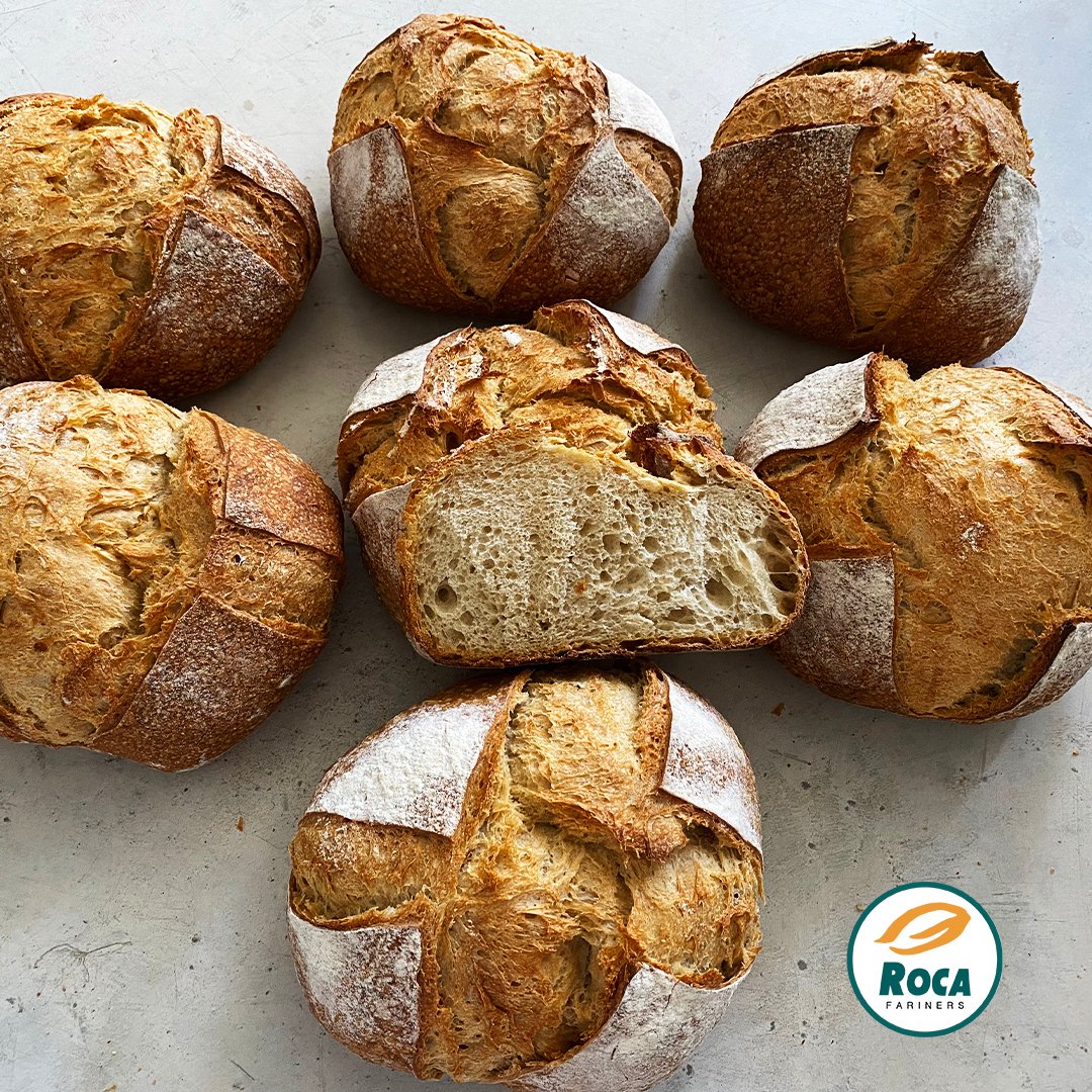 Harinera Roca tweet media