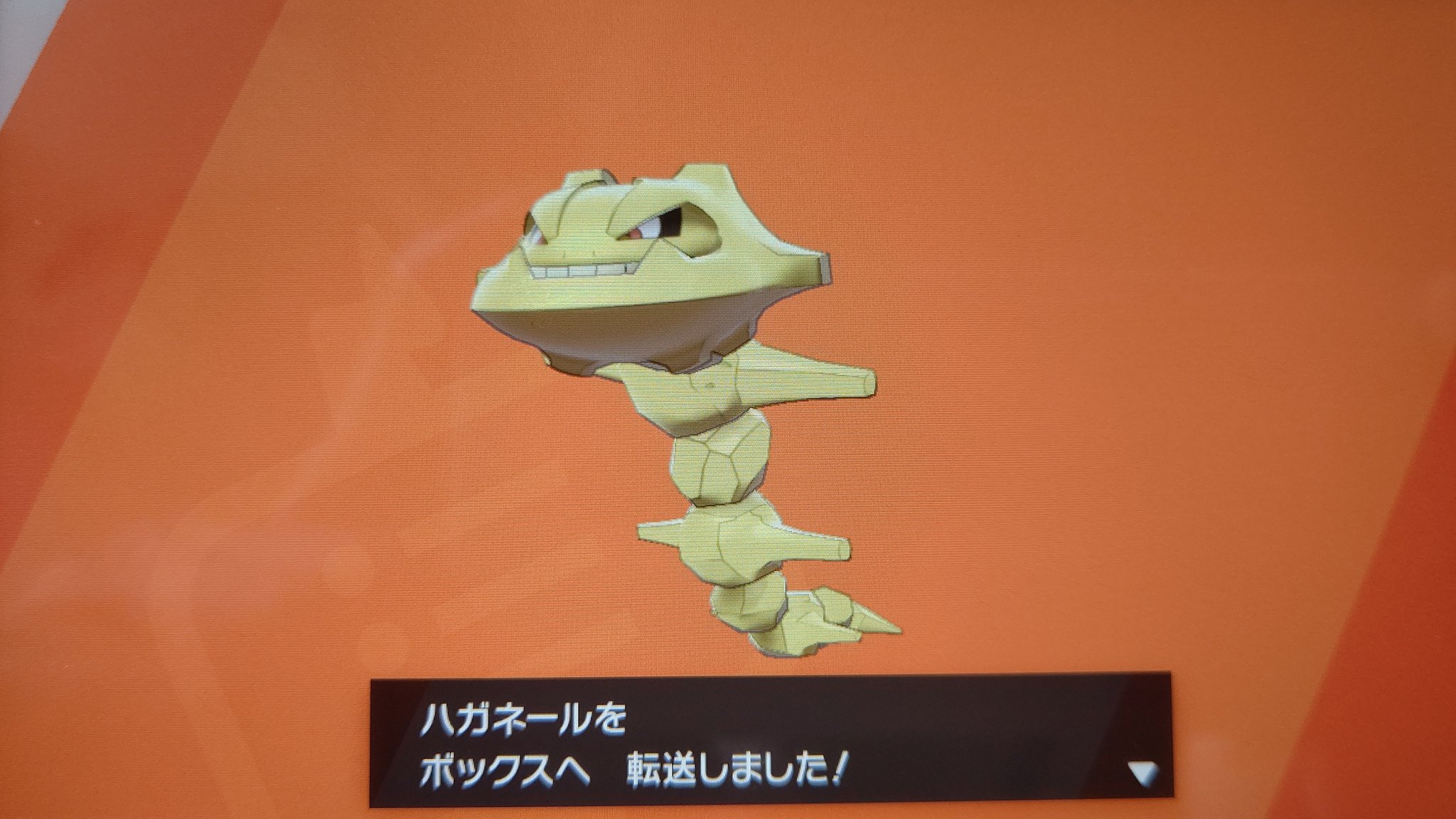 月野 キララ 凛 りんりん 色違いハガネール ゲット モンハンばかりしていてポケモン に集中するの忘れてたからやりだしたら何か色違い出る １週間ちょっとで色違い５匹目 ポケモン最高 ポケモン剣盾 剣盾色違い T Co Jakwr4knp4 Twitter