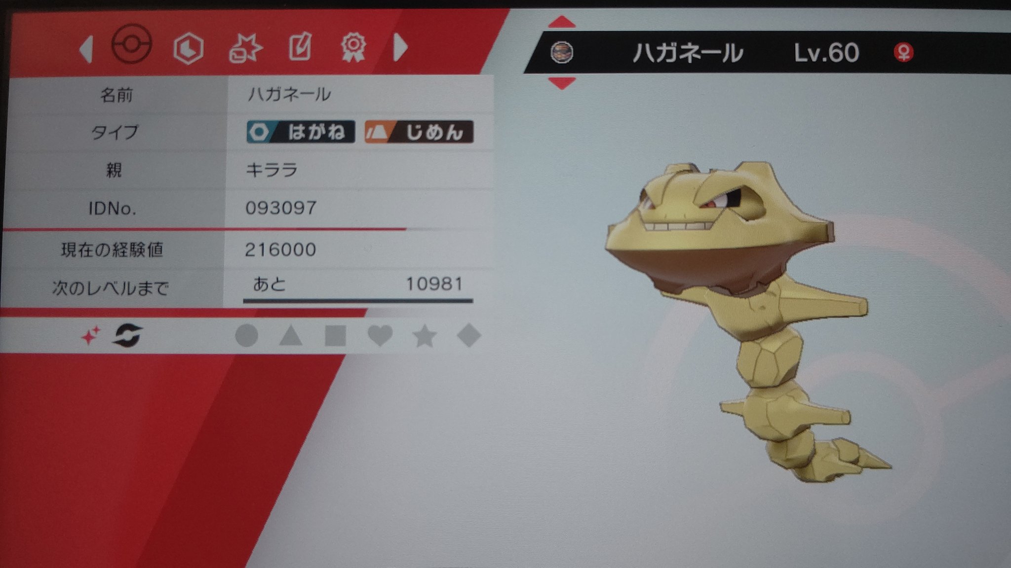 月野 キララ 凛 りんりん 色違いハガネール ゲット モンハンばかりしていてポケモン に集中するの忘れてたからやりだしたら何か色違い出る １週間ちょっとで色違い５匹目 ポケモン最高 ポケモン剣盾 剣盾色違い T Co Jakwr4knp4 Twitter