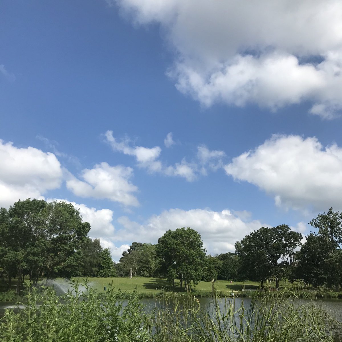Thank you ⁦<a href="/zannagilbert/">zannagilbert</a>⁩ and the Getty Research Institute for inviting us to be part of Yoko Ono’s T.V. To See the Sky - we loved it! ⛅️ 
~ Today the sun is shining as fluffy white clouds hover above the parkland - so different from the recent rain!
⁦<a href="/Uni_of_Essex/">University of Essex</a>⁩