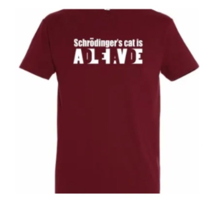 EFOMP <a href="/EUtempe1/">@EUtempe</a> Summer Quiz 💡
Images A, B, C have mammo QC equipment and images - do you know what they are?? 🤔

Post your answer here by Friday 1pm CET!

The winner will get this Schrodinger's cat tshirt 😎