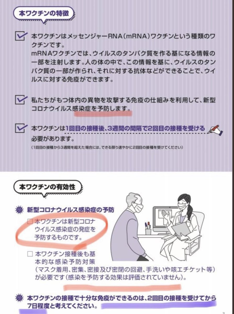 コギトエルゴスム コブラ コギトエルゴスム コブラ