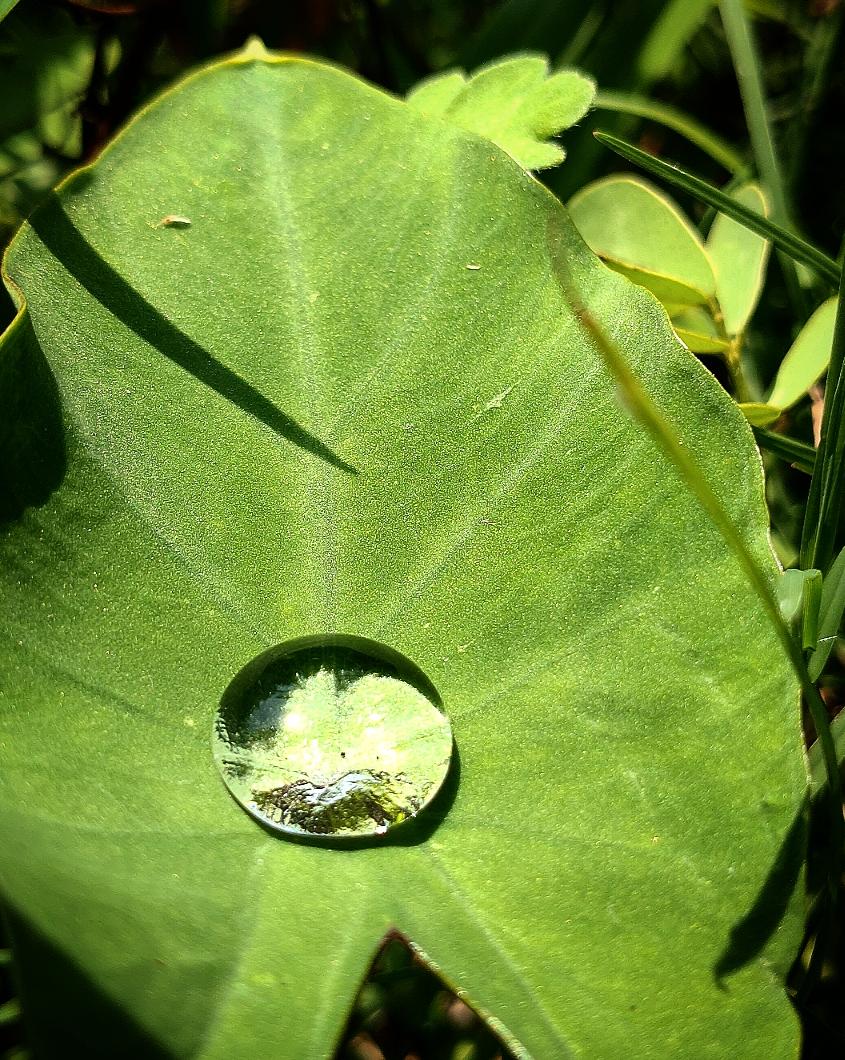 osa_iit's tweet image. Here are the winner photographs from INTERNATIONAL DAY OF LIGHT 2021 @osa_iit @iitrpr @OpticalSociety @OPNmagazine 
#internationaldayoflight2021 #iitropar #osastudentchapter