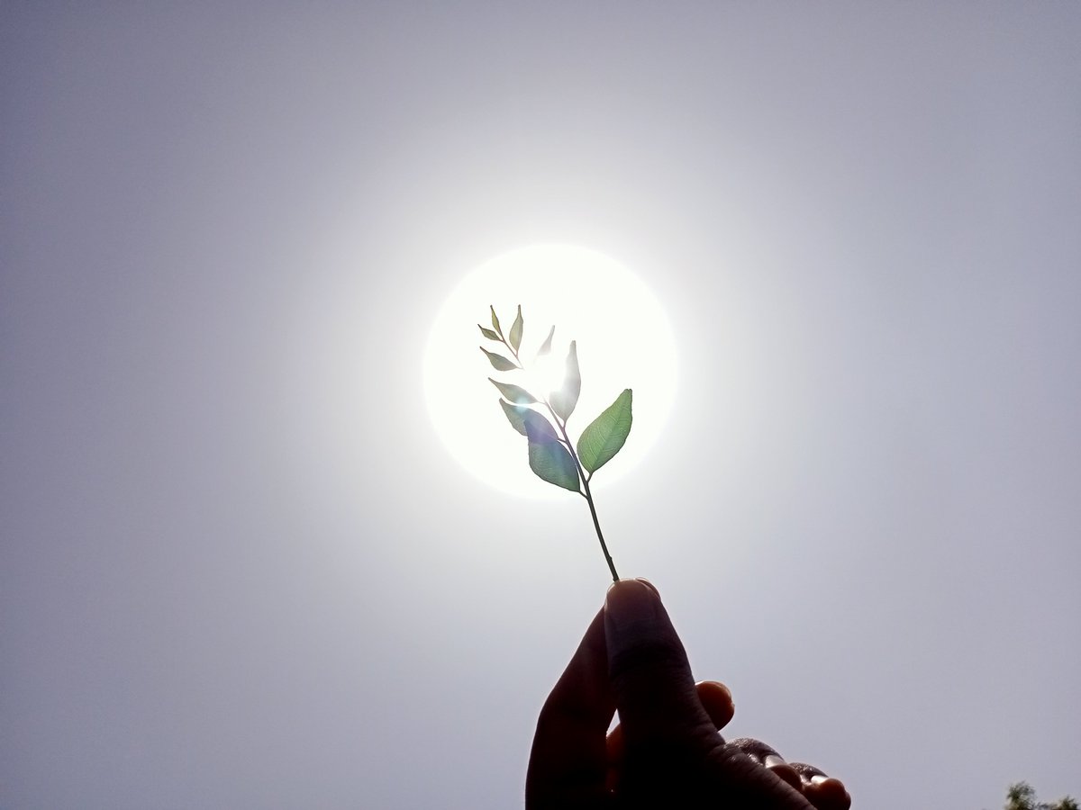 osa_iit's tweet image. Here are the winner photographs from INTERNATIONAL DAY OF LIGHT 2021 @osa_iit @iitrpr @OpticalSociety @OPNmagazine 
#internationaldayoflight2021 #iitropar #osastudentchapter