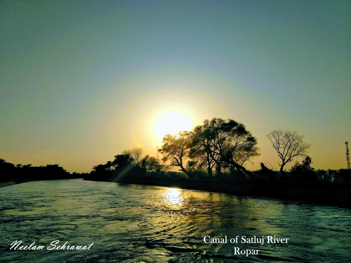 osa_iit's tweet image. Here are the winner photographs from INTERNATIONAL DAY OF LIGHT 2021 @osa_iit @iitrpr @OpticalSociety @OPNmagazine 
#internationaldayoflight2021 #iitropar #osastudentchapter