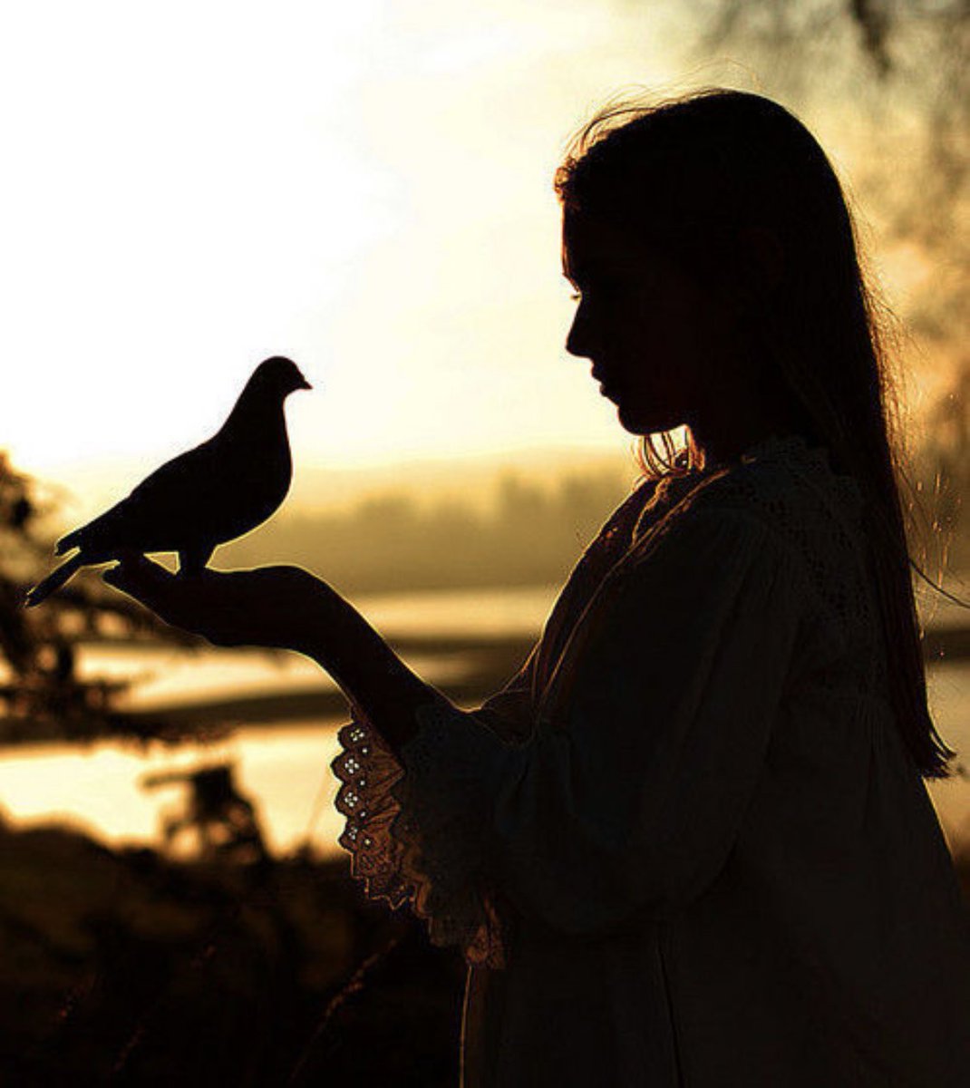 #WritingCommnunity #writing 
Stillness encompassing all around, the faint breeze blowing.
Lost in thought, silently one with nature
Forever ingrained in my memory 
this wondrous haven of serenity 
If only for now, this minute, I’m 
free within my soul.💫 #poetry #PoetsTwitter