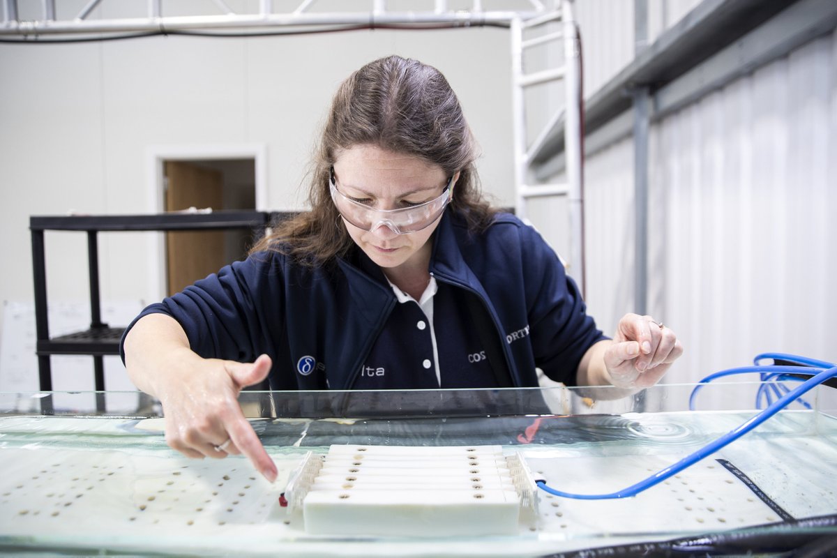 "Every industry needs people to design stuff, make stuff, test stuff"

#INWED21 #innovator #interview #EngineeringHeroes 

silverstone-park.com/media/latest-n…