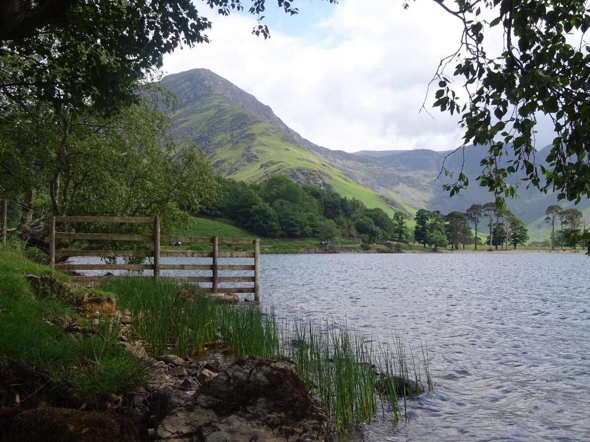 MeiLoft's tweet image. Every time I go back to beautiful #buttermere, I fall in love with it all over again! 💕Yesterday was no exception 🐑🌳🥾

#LakeDistrict @FeatureCumbria @StagecoachCNL @CumbriaViews @images_lake #fleetwithpike #haystacks #herdwick @BridgeLakes #cumbria #wainwright #westernfells