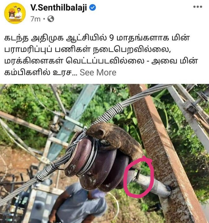 பகுத்தறிவுக் கடவுள் (@creatorof_all) on Twitter photo <a href="/thatsTamil/">Oneindia Tamil</a> ஒரு புகைப்படத்திற்காக கொல்லப்பட்ட அணில்
#அணில்தான்_காரணம்
நீங்க போய் photo எடுக்குற வரைக்கும் அது என்ன கடிச்சிட்டா இருக்கும்.... ஓடிராது...
அது கால்களை பாருங்க <a href="/thatsTamil/">Oneindia Tamil</a> ஒரு புகைப்படத்திற்காக கொல்லப்பட்ட அணில்
#அணில்தான்_காரணம்
நீங்க போய் photo எடுக்குற வரைக்கும் அது என்ன கடிச்சிட்டா இருக்கும்.... ஓடிராது...
அது கால்களை பாருங்க