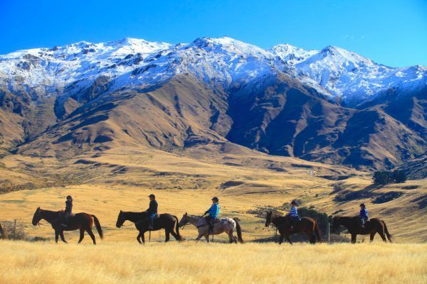 AWE365's tweet photo. From Horse Riding in New Zealand to surfing in Morocco 8 of the best adventures for solo travellers https://t.co/y2jvmrJxWt
#adventureholidays #soloholidays #adventuresolo #bestadventures #top10 https://t.co/PffIDusFfD