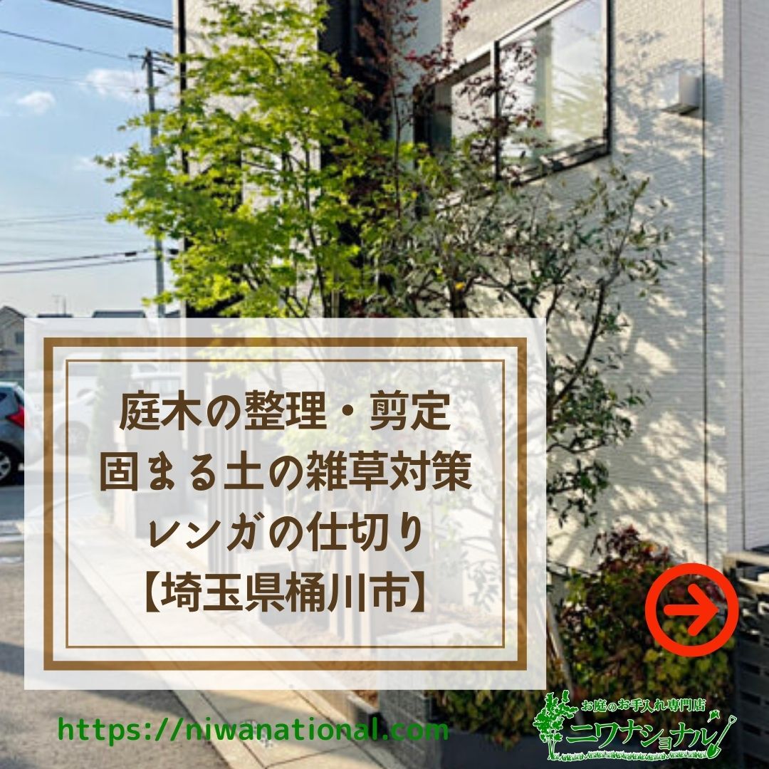 ニワナショナル 埼玉県桶川市に 庭木の剪定と伐採 雑草対策でお伺いしました 低木や下草を抜根し レンガ で仕切りをつけ 雑草対策として 固まる土を施工 また 駐車場目地の部分もスーパーハードの固まる土を施工しました 入居時に植栽が沢山だと 数 ニワナショナル 埼玉県桶川市に 庭木の剪定と伐採 雑草対策でお伺いしました 低木や下草を抜根し レンガ で仕切りをつけ 雑草対策として 固まる土を施工 また 駐車場目地の部分もスーパーハードの固まる土を施工しました 入居時に植栽が沢山だと 数