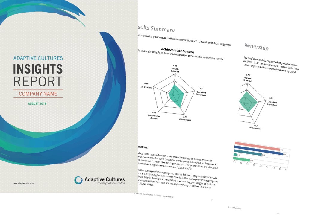 CultureAdaptive's tweet photo. Multiple stages of evolution evident throughout the results of the diagnostic

https://t.co/VbrUnmJjjB

#leadership #adaptivecultures #futureofwork https://t.co/MXwhcgHbWp