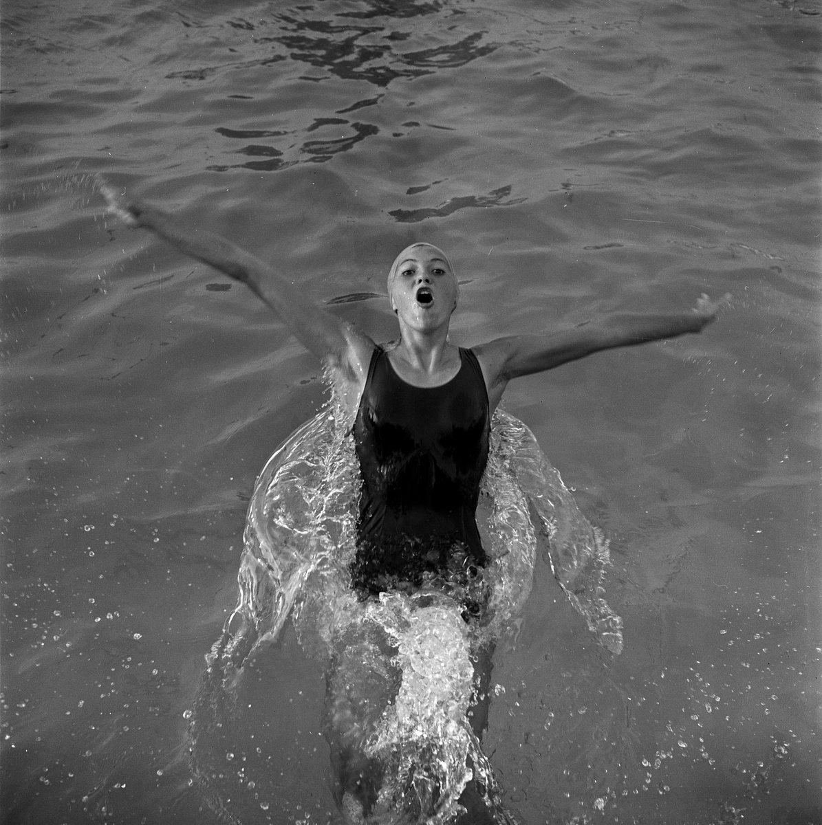 ToulouseArchive's tweet photo. #MercrediVIP🐬
Aujourd'hui, en cette #JournéeOlympiqueMondiale🏅, zoom sur #FrançoiseBorie, nageuse🏊♀️ des #DauphinsDuTOEC, qui participa aux JO de #Tokyo🇯🇵 en 1964. Photographiée piscine Castex + chez elle, avec ses sœurs, par #AndréCros📸.
▶️En savoir + : https://t.co/LaTKJX4wGy https://t.co/QI53xzXXl2