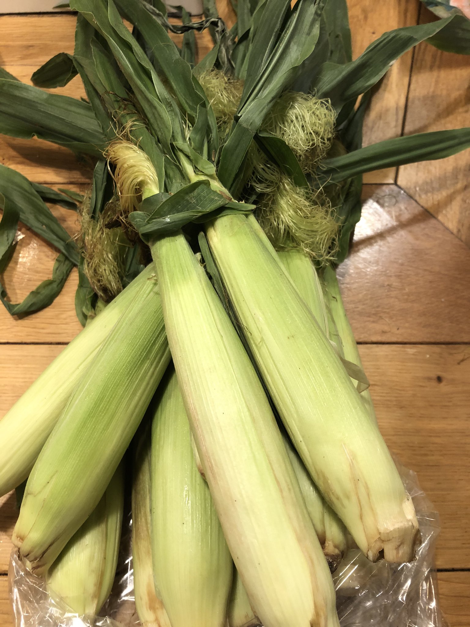 酒場 ななめ 荻窪駅南口酒場ななめです 本日から営業再開します 17時半 24時の通常営業です とりあえずお酒が飲めればいいと思う人 大声で騒ぐ人 隣の人にすぐ絡む方は来ないでください さ 今日からはりきってやっちゃいます お待ちしてます