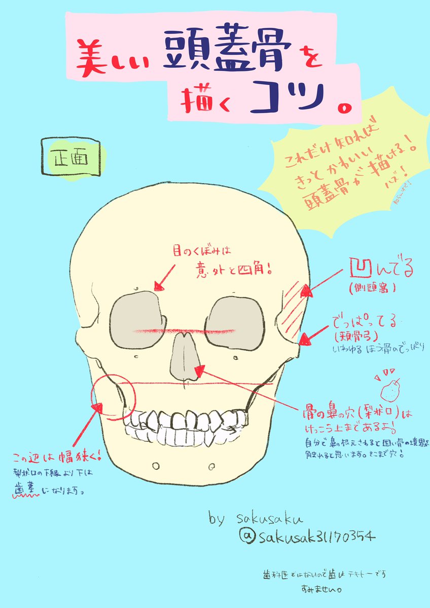 ヒロアカ 美しい頭蓋骨を描くコツ 私の絵には頭蓋骨は一切出ませんが 仕事で頭蓋骨 Sakusaku 低浮上の漫画 ヒロアカ 美しい頭蓋骨を描くコツ 私の絵には頭蓋骨は一切出ませんが 仕事で頭蓋骨 Sakusaku 低浮上の漫画