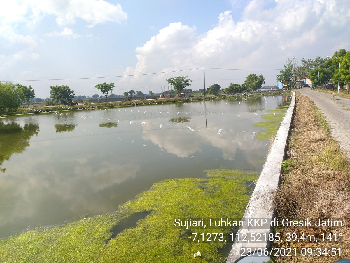 Sujiari3's tweet photo. Rabu, 23-06-2021. Sujiari, https://t.co/QnCdqOT1Hr, S.Pi. Luhkan Kab Gresik
Di Pokdakan MULYA JAYA, Desa Wadak Lor, Kec. Duduksampeyan. Finalisasi proposal bantuan DEM IKAN NILA 2 unit
#GiatLuhkanSatminkalBWI
#KabGresik
@puslatluhkp
@brsdm_kp
@kkpgoid https://t.co/dSQJAaX2iz
