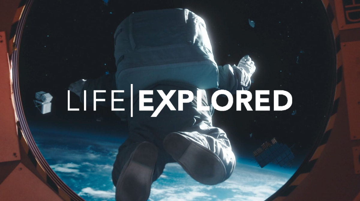 What are you hoping will bring you fulfilment in life?