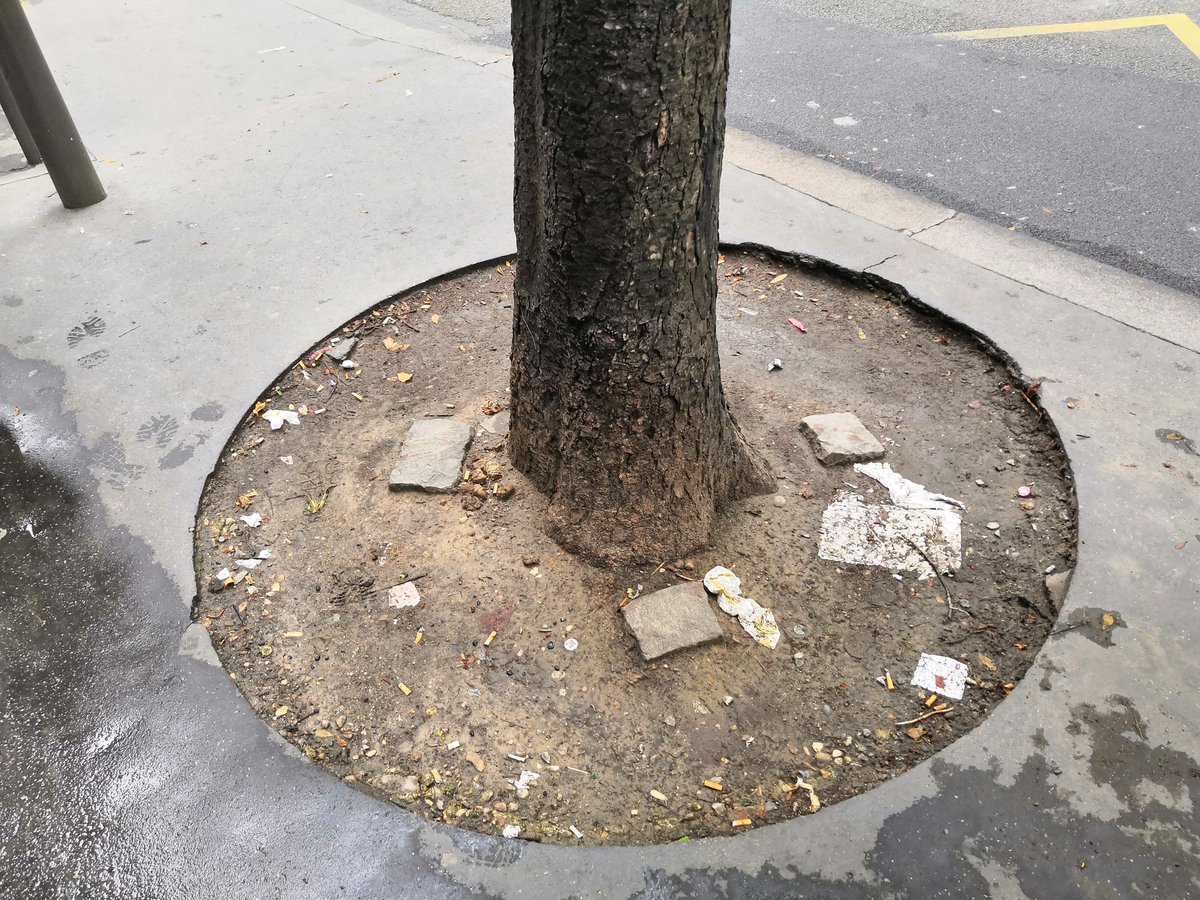 20m41n's tweet photo. @Parisjecoute @mairie18paris Bonjour est-il prévu de remettre les grilles au pied des arbres rue Custine? Entre les papiers, les crottes de chiens et la boue, cela comment à devenir vraiment sale et ça occupe une partie non négligeable de la circulation des piétons. https://t.co/eAQ3D78z5X