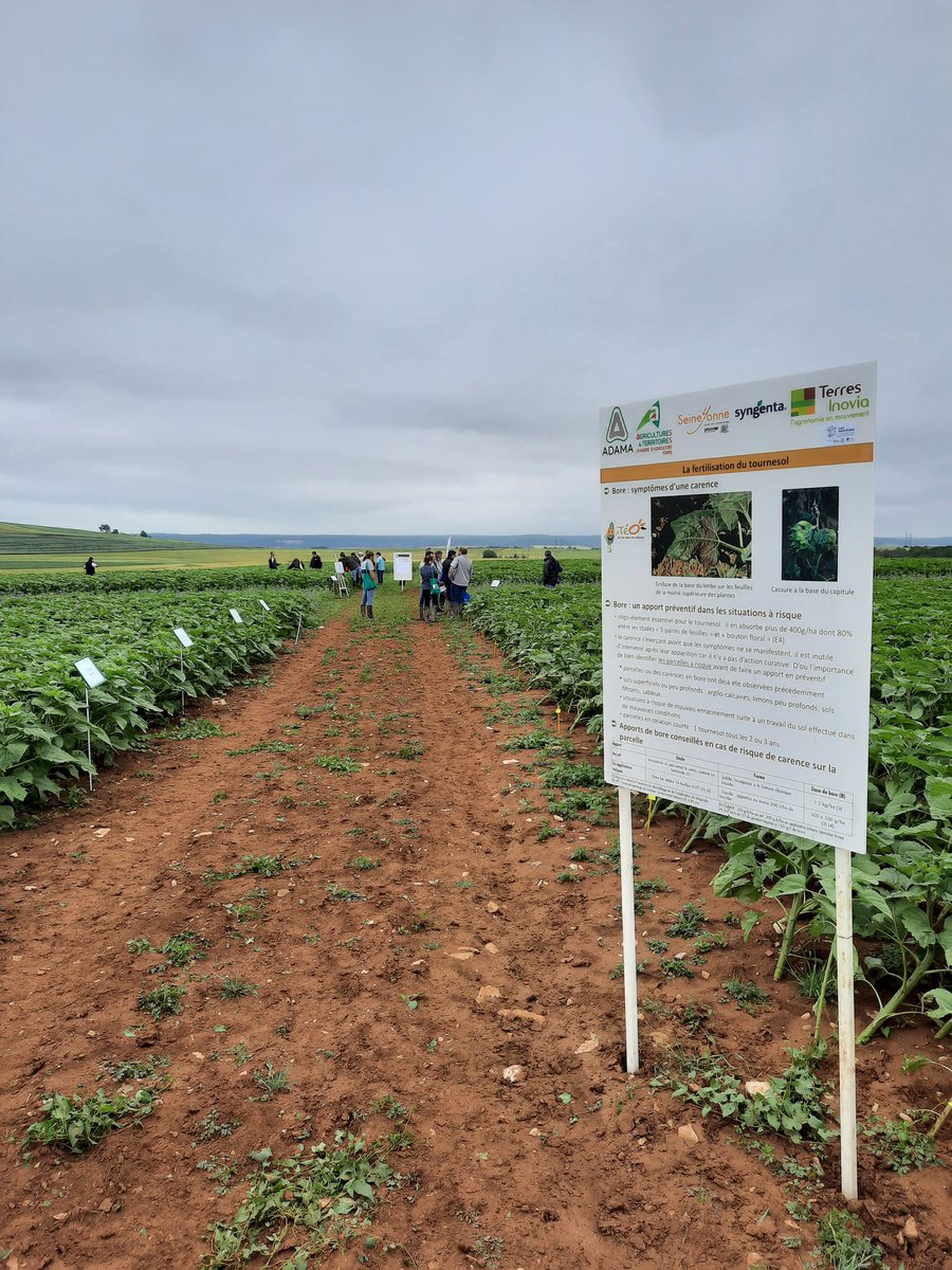 Damien Derelle tweet media