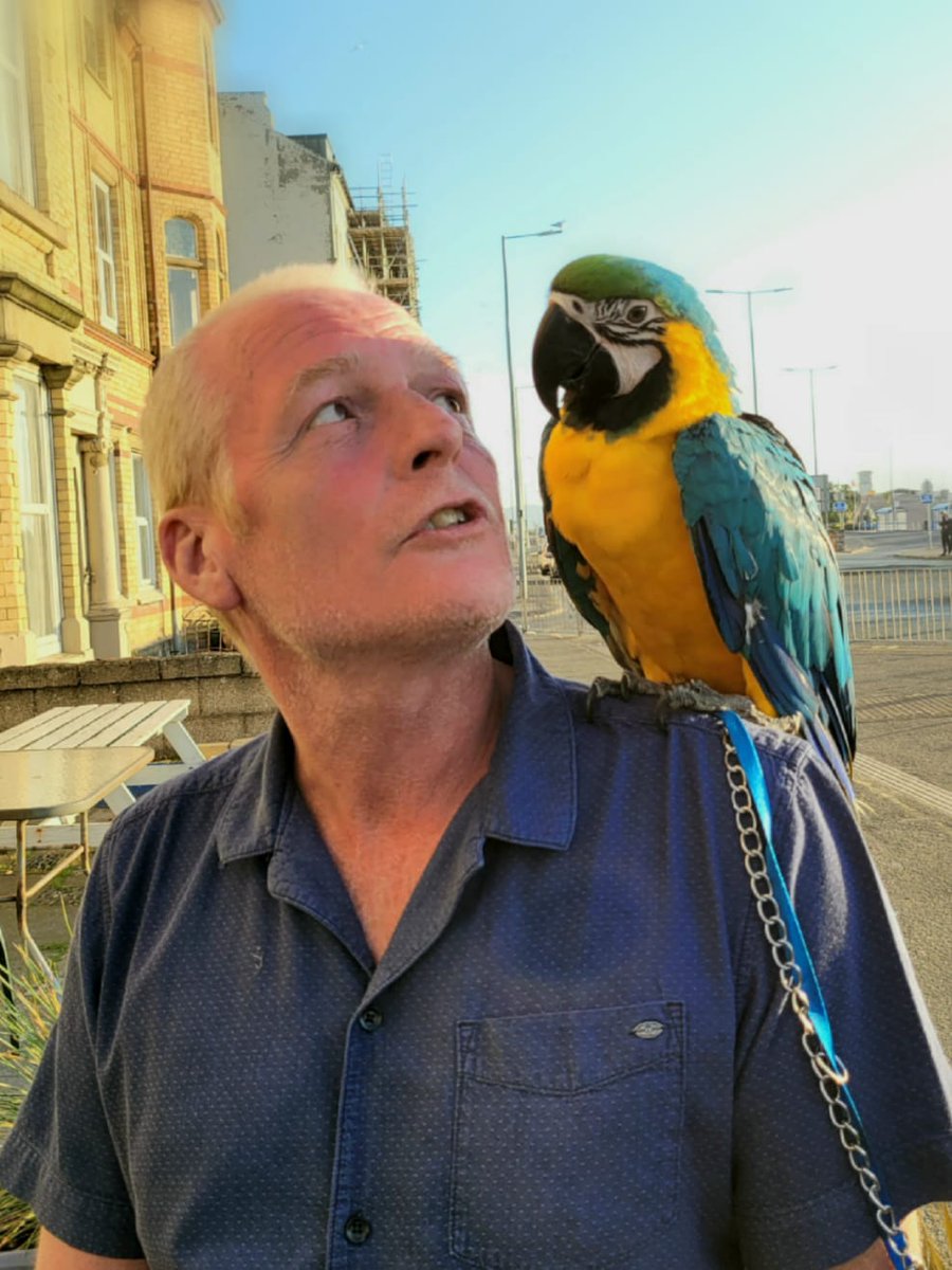 Pier Hotel Rhyl tweet media