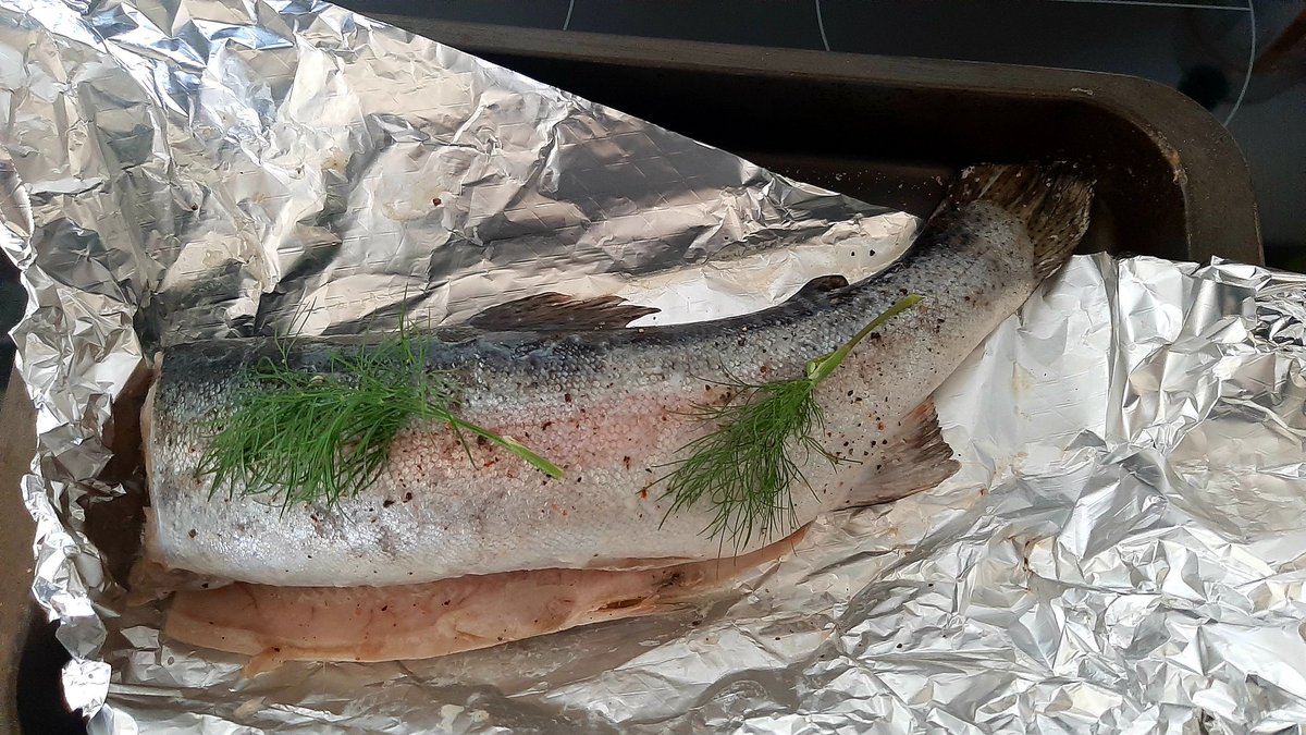 Fresh Trout for tea.  Love it when our guests bring back a treat.  Fly fishing at the Llyn Clywedog. 
#flyfishing