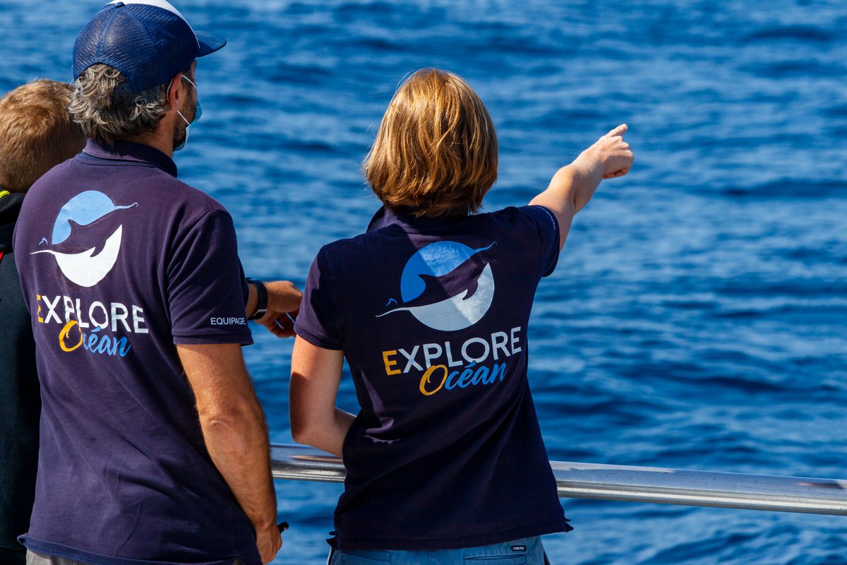 Explore_Ocean's tweet image. Prochaine Expédition Cétacés vendredi 25 juin (il va faire beau!)
Réservation obligatoire dest-in.pro/activites/show…
exploreocean.fr
#dauphin #sortieenmer #catamaran #cotebasque