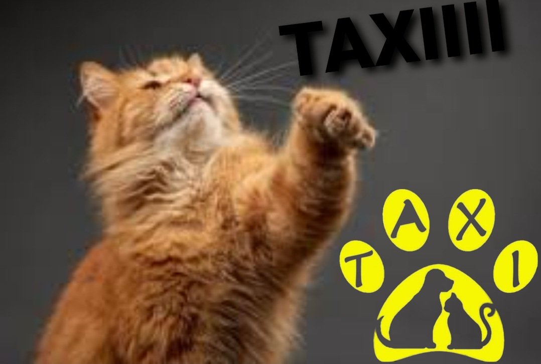 TaxipetsF's tweet photo. Pour aller chez le vétérinaire, chez mamie pour une semaine de vacances ou prendre un avion,
TAXI PETS est la solution de simplicité. https://t.co/jbd3QGJYX5