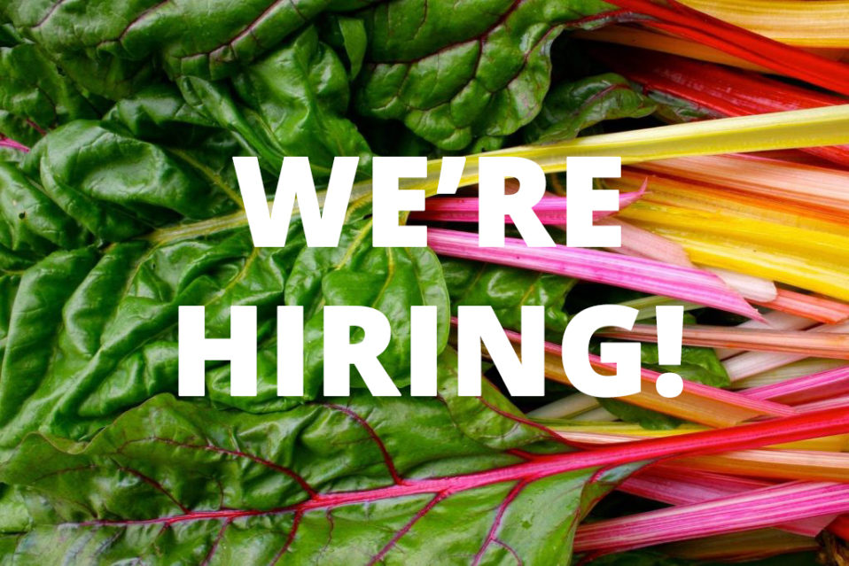EKlyne's tweet photo. At this exciting stage in @giyireland’s growth and development within the Irish and UK markets, we're looking for an ambitious Business Development Coordinator to join us. Please RT and share! https://t.co/AEi0O1pyjW #GIY #jobfairy #socent #ClimateCrisis #Sustainability https://t.co/bH9iRwaVPE