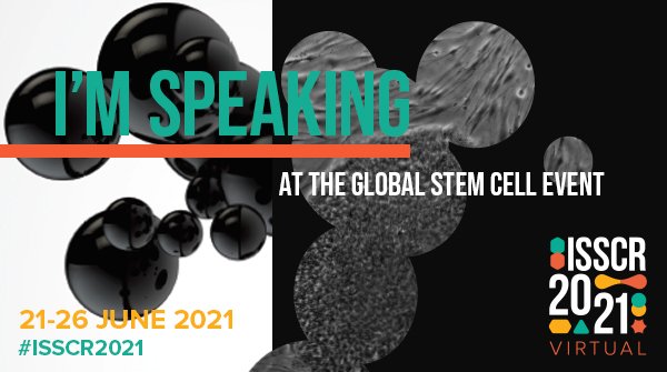 Maria Teresa Bejar (@mtbejar) on Twitter photo I can't wait to present our work on epithelial stem cell plasticity today at #ISSCR2021 TSC3: Wound Healing, Stress and Aging, and learn outstanding science from <a href="/kim_bak_jensen/">Kim Jensen</a>, <a href="/KateMiro1/">Kate Miroshnikova</a>, <a href="/iamZico91/">Swarnabh Bhattacharya</a>, Dr Emmanuelle Passegué and others! I can't wait to present our work on epithelial stem cell plasticity today at #ISSCR2021 TSC3: Wound Healing, Stress and Aging, and learn outstanding science from <a href="/kim_bak_jensen/">Kim Jensen</a>, <a href="/KateMiro1/">Kate Miroshnikova</a>, <a href="/iamZico91/">Swarnabh Bhattacharya</a>, Dr Emmanuelle Passegué and others!