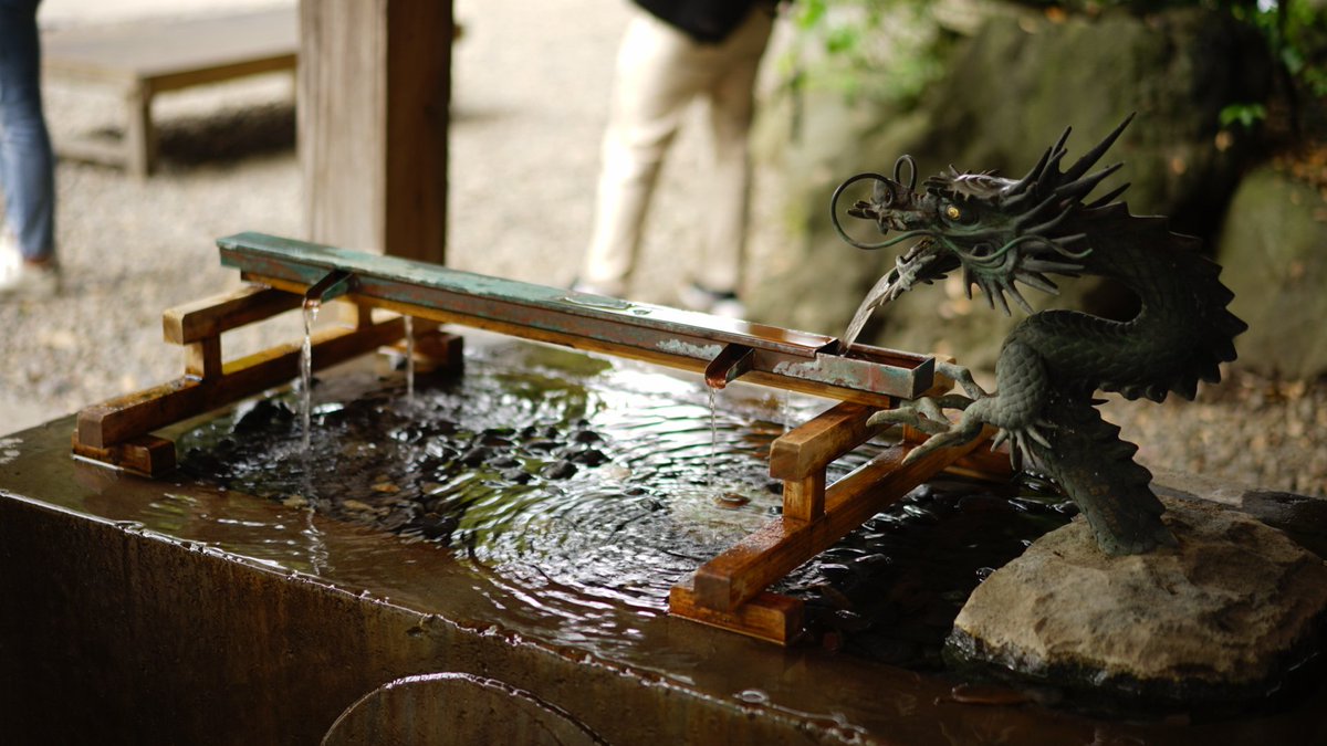 kouhei_penguin's tweet photo. #埼玉県 #川越 #氷川神社 #SONY #a7 #一眼レフ https://t.co/mOD1KZ16Wb